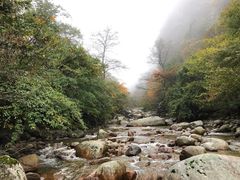-青峰峡国家森林公园
