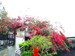 -广东天露山旅游度假区