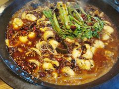 -都江堰石锅鱼