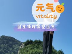 -牛背梁国家森林公园