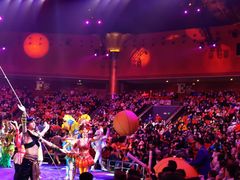 -珠海横琴长隆《卡卡虎奇遇记》