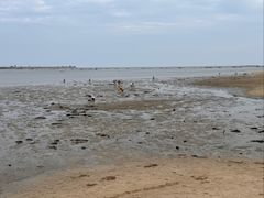 -北海金海湾红树林生态旅游区