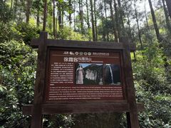 -雁荡山风景名胜区