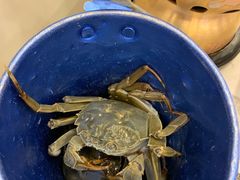 -澜悦港海鲜体验主题餐厅