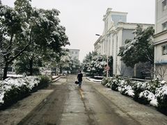 樱花餐厅-浙江越秀外国语学院