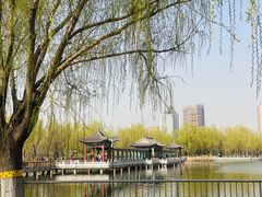 -莲花池公园