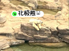 -西安曲江海洋极地公园