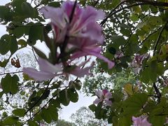 -广东外语外贸大学(白云山校区)