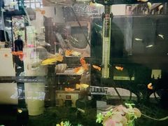 -万景饭店·鱼街农家菜