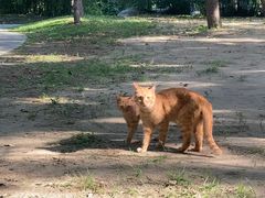-徐家汇源景区-衡山公园