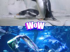 -南昌海洋公园
