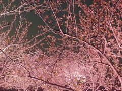 -西北湖绿化广场