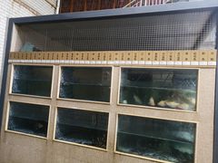 -胖大姐黄辣丁鱼庄(新津店)