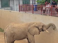 -西霞口神雕山野生动物世界