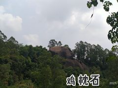 -火炉山森林公园