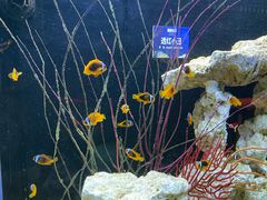 -沈阳海洋探索中心