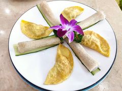 手工蛋饺-墨脱石锅椰子鸡•香草鸭•东山羊(大东海店)