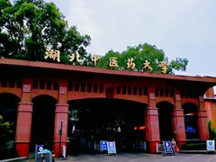 -湖北中医药大学(昙华林校区)