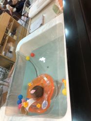 -爱贝蕊恩韩式月子会所(宝安店)