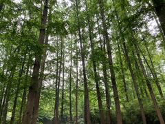 -杭州西湖柳莺里酒店·闻莺厅