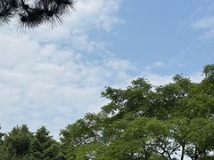 -北陵公园