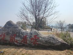 -缙云山景区