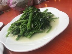 -食海部落