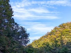 -大连天门山国家森林公园