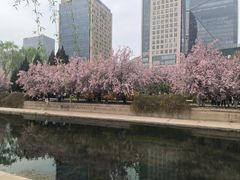 -元大都城垣遗址公园