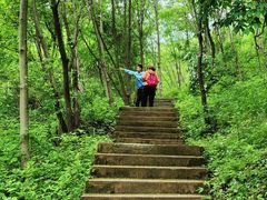 -太平万花山景区
