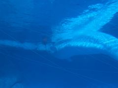 -海合安武汉极地海洋公园