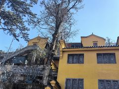 -九华山风景区