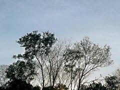 -佛手湖郊野公园