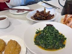 辣木芽-凯鸽酒楼(操场城店)