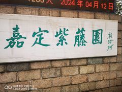-嘉定紫藤园