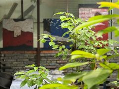 -野蔓果·山野菜(西湖景区·龙井茶田店)