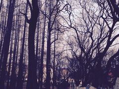 iphone_upload_pic-八大关景区
