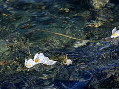 -丽江泸沽湖景区