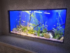 -上海海洋水族馆