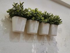 -周素珍湖州大馄饨(直戒坛寺巷店)