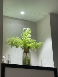 -香秀空间科技抗衰·美容中心