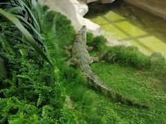 -青岛森林野生动物世界