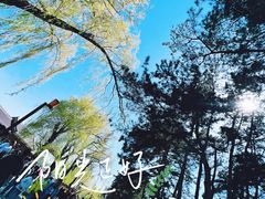 -长春市南湖公园