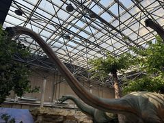 -国家自然博物馆