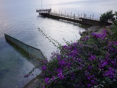 -抚仙湖禄充风景区