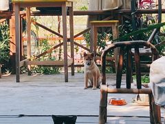 -城墙外BAR