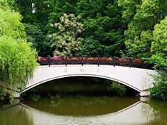 -东平国家森林公园