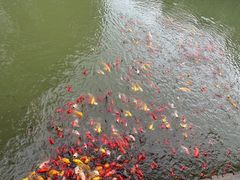 -泰安地下龙宫景区