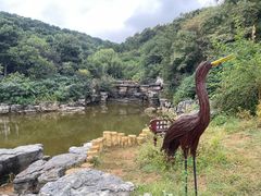 -北京西山国家森林公园