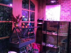 -青木造型HAIR·あおき髪を刈る潮人店